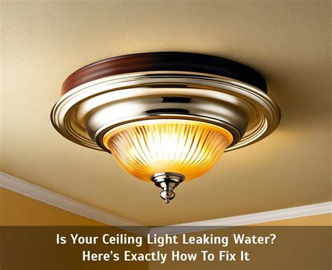 water leaking from light fixture|To Dos when Water Leaks through Light Fixtures 